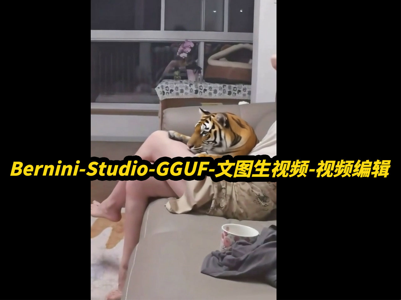 Bernini-Studio-GGUF,4步采样,文图生视频,自定义lora,支持你懂的,视频编辑,8G显存可用,目标替换,字幕去除,批量任务,支持50系