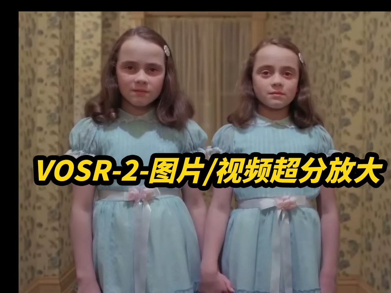 VOSR-2-高速图像视频超分放大