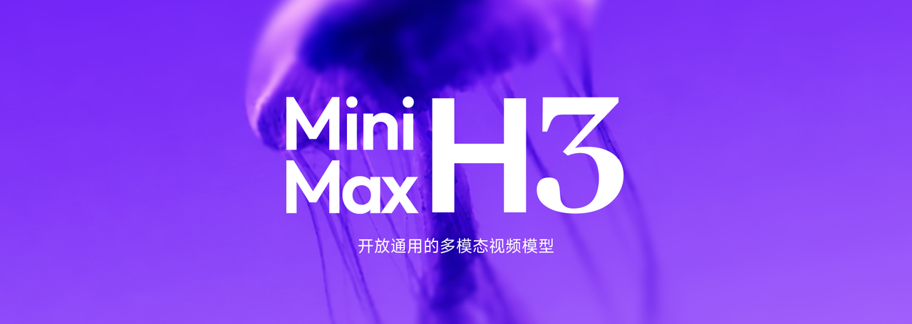 MiniMax H3 Int8